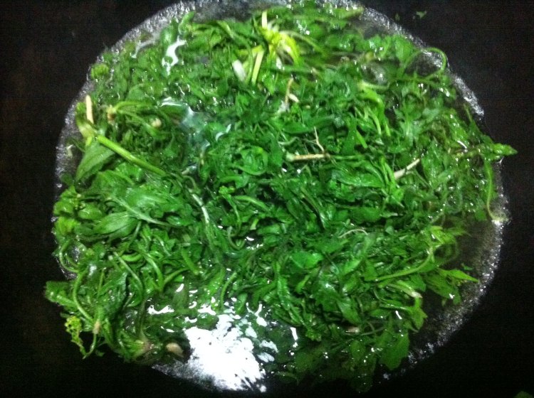 韭菜荠菜猪肉包子步骤4
