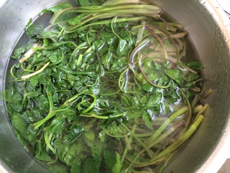 野芹菜水煎包步骤3