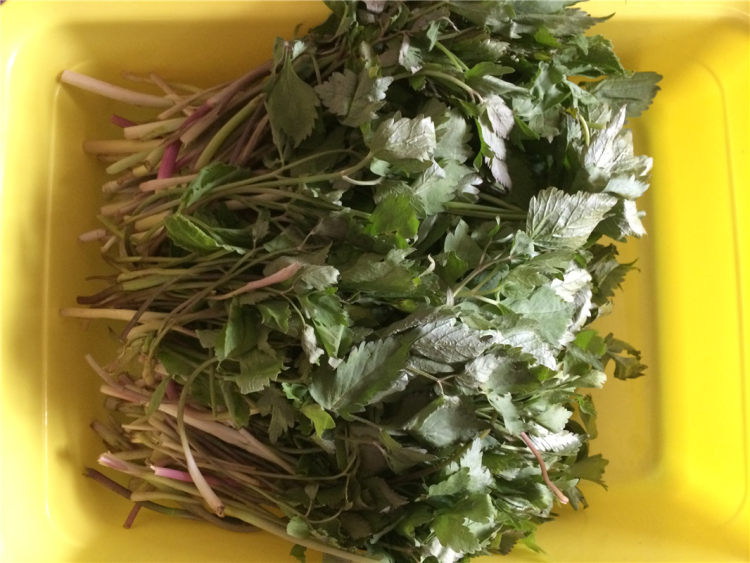 野芹菜水煎包步骤1