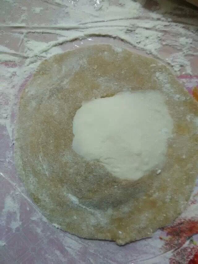 双色大包子步骤13