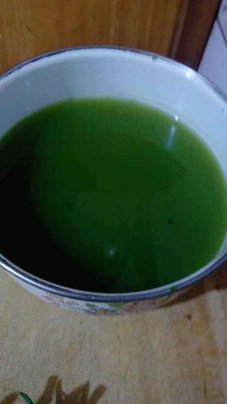 小油菜包子步骤7