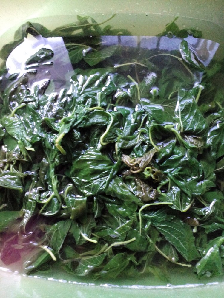 野菜大包子步骤2