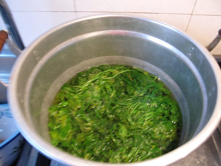 秋荠菜猪肉包子步骤2