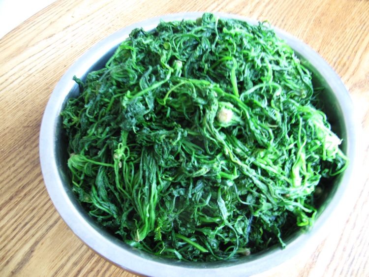 秋荠菜猪肉包子步骤4