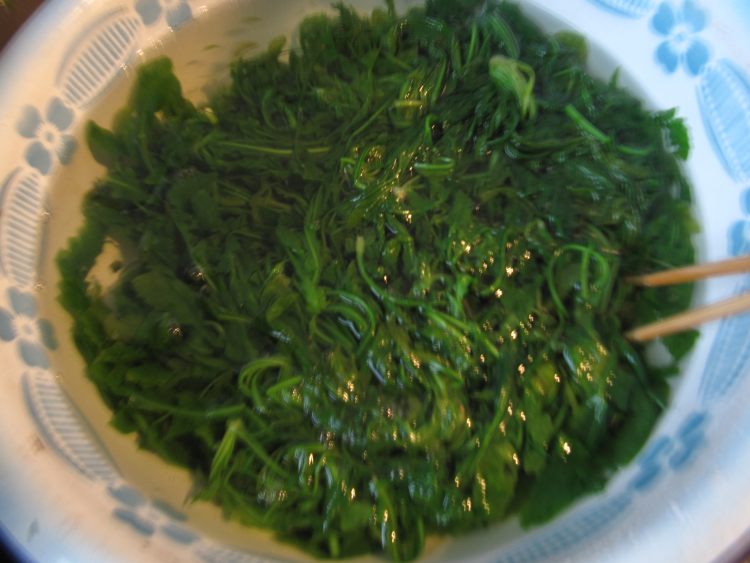 秋荠菜猪肉包子步骤3