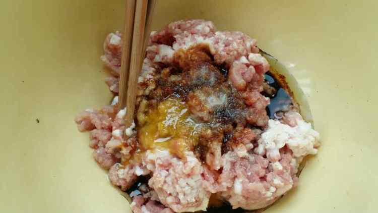 猪肉白菜大包子步骤4