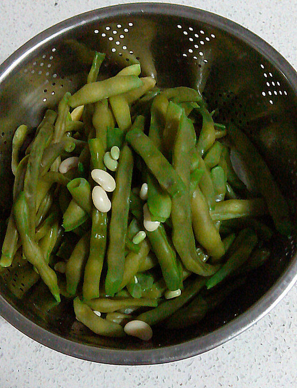扁豆馅包子步骤2