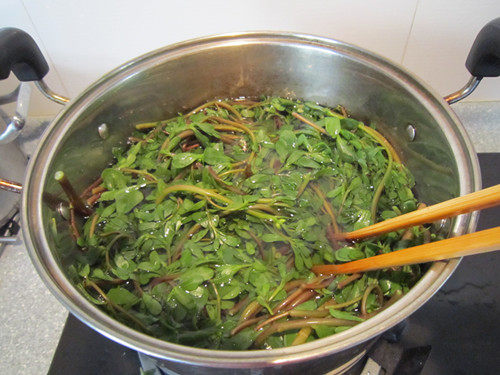 马齿笕野菜蒸包步骤2