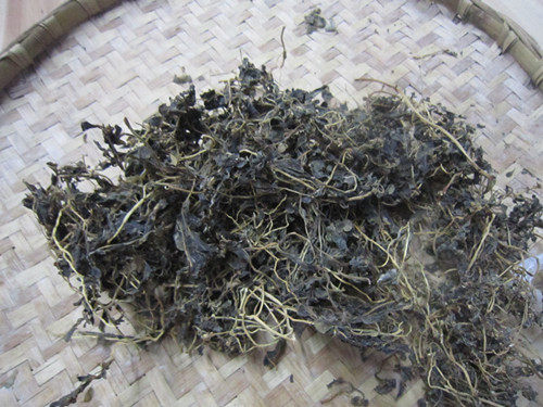 马齿笕野菜蒸包步骤4