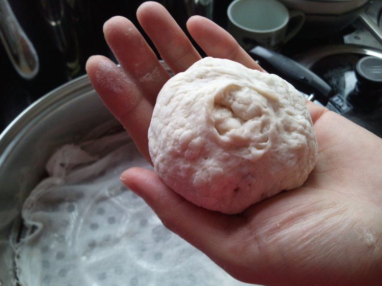 香菇素菜包子步骤15