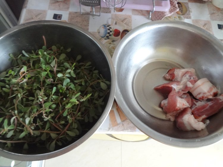 马齿苋猪肉包子步骤3