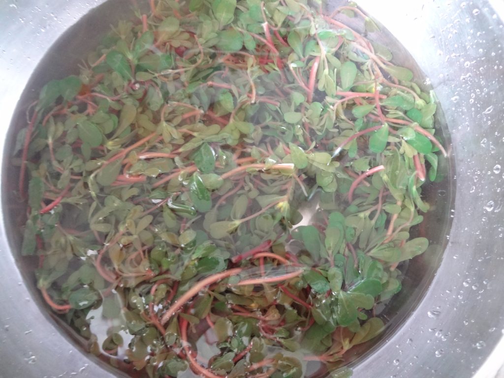 马齿苋猪肉包子步骤9