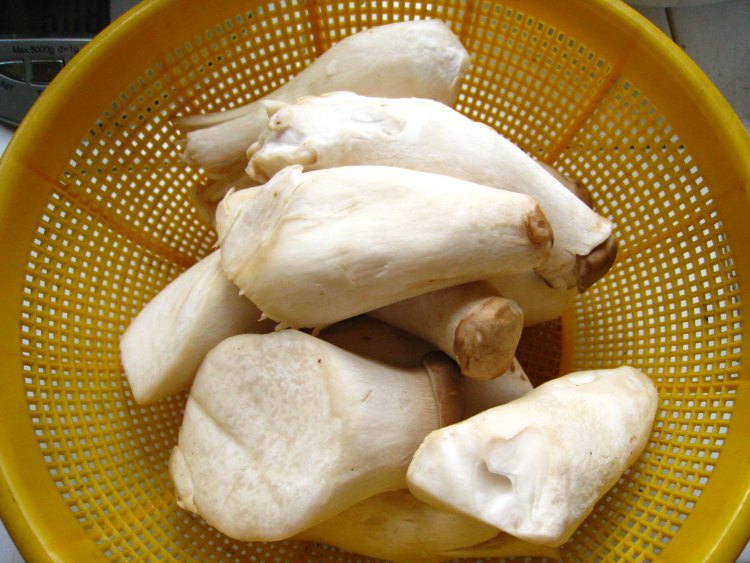 杏鲍菇叉烧包步骤2