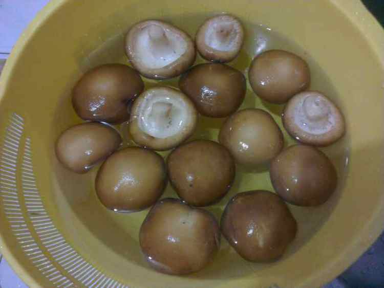 肉菜香菇南瓜包子步骤5
