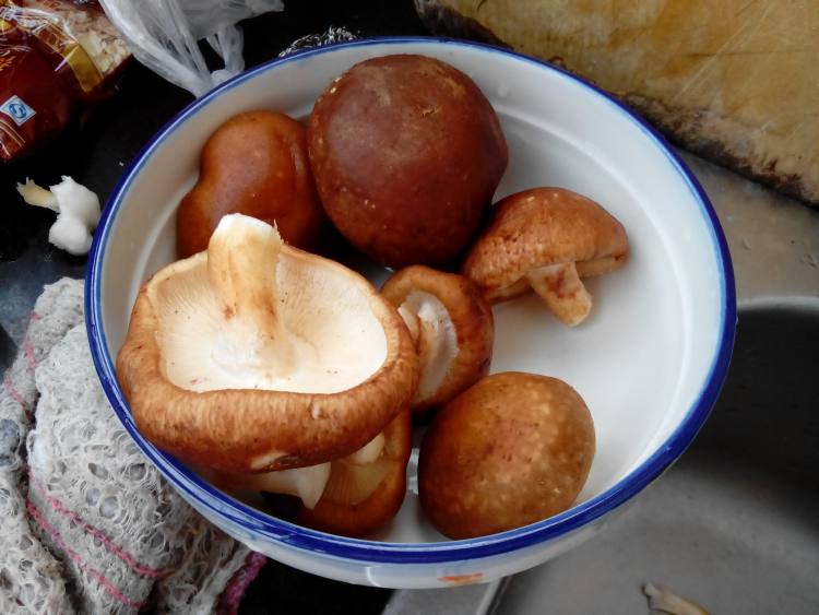牛肉丁香菇芹菜包子步骤1