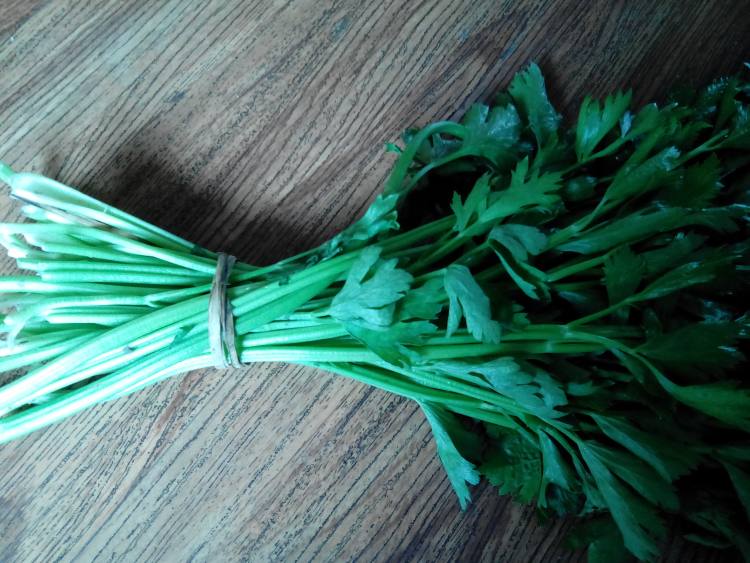 牛肉丁香菇芹菜包子步骤2