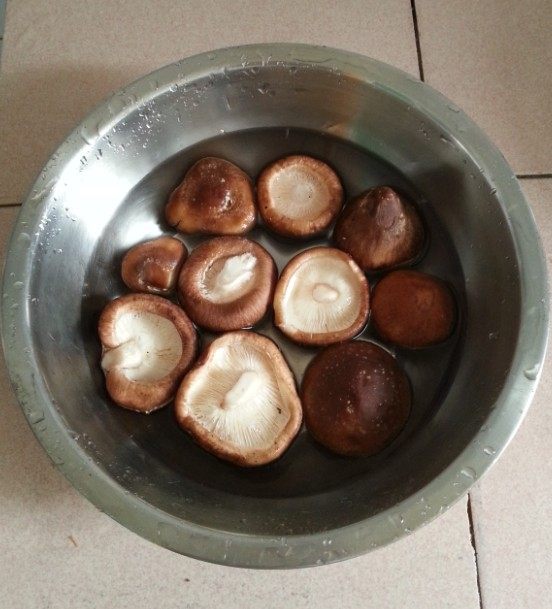 香菇酱肉包步骤3