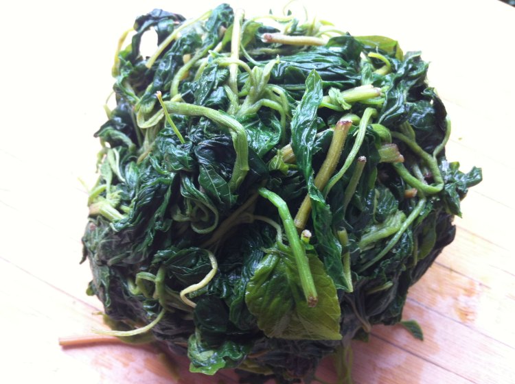 韭菜苋菜鸡蛋虾皮包子步骤4