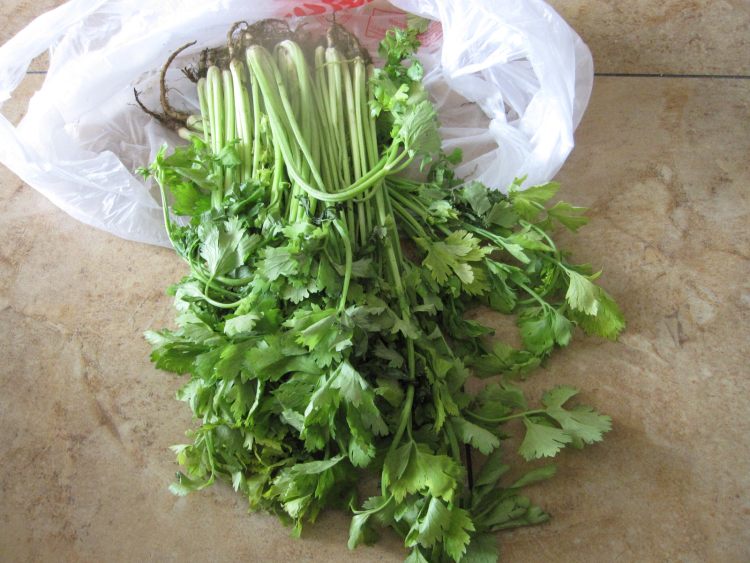 芹菜肉蒸包步骤5