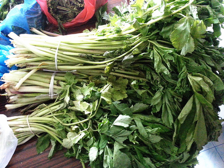 猪肉山芹菜馅包子步骤1