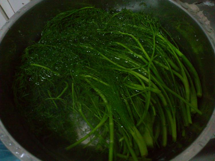 茴香粉条大包步骤4