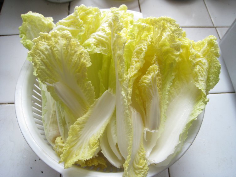 娃娃菜肉包步骤2