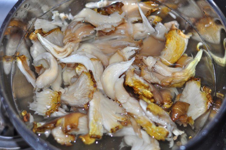 鲜蘑肉包步骤1