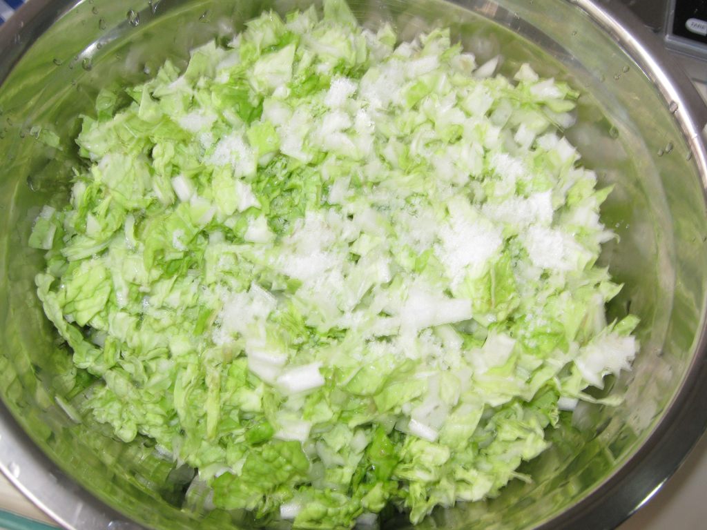 白菜木耳粉条馅包子步骤4