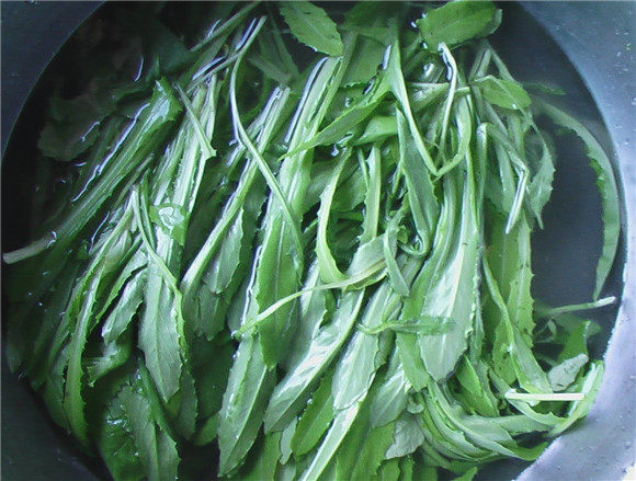 油麦菜肉馅包步骤6
