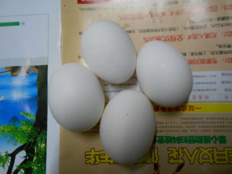 韭菜鸡蛋大包子步骤1