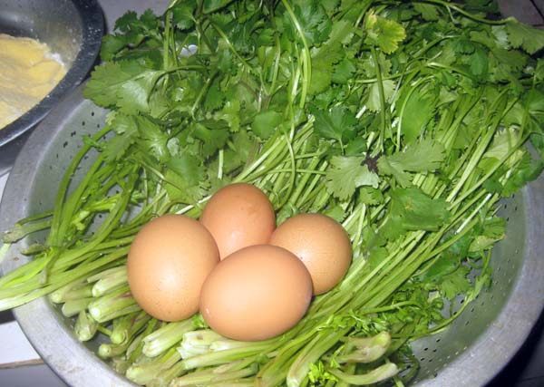 胡萝卜芫荽菜包步骤3
