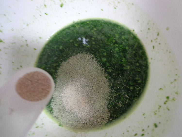 生煎菜汁大肉包步骤2