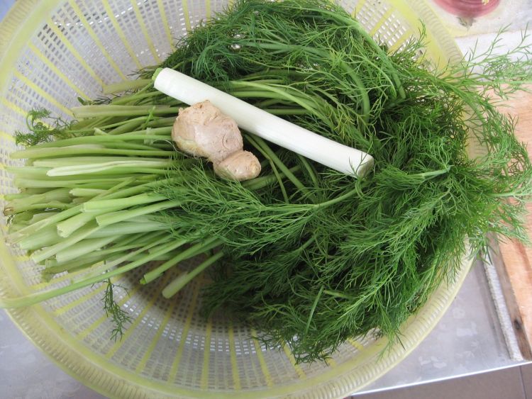 茴香陷肉包子步骤2