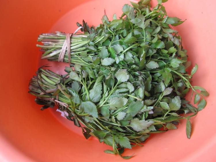 羊肉野芹菜大包子步骤1