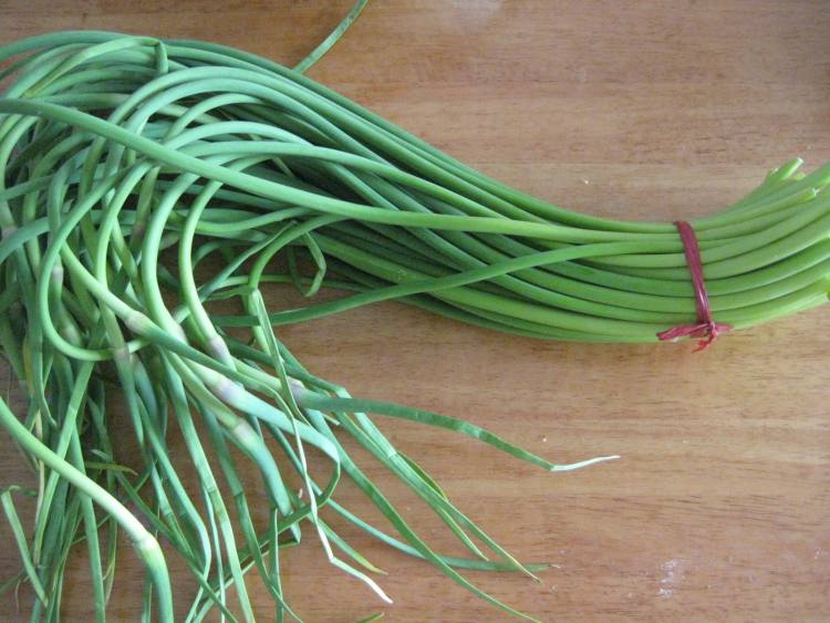 蒜苔肉末包子步骤1