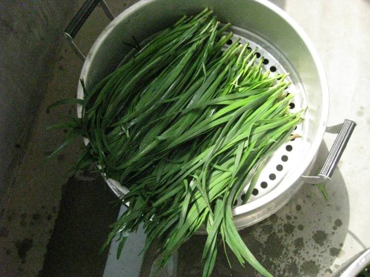 荠菜韭菜包步骤5