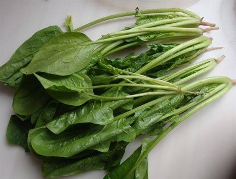 菠菜肉包步骤1