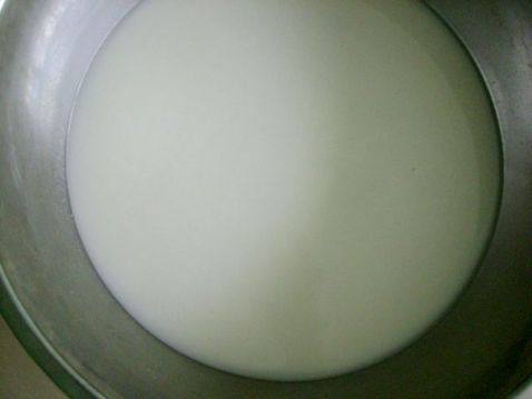 干马齿苋包子步骤1