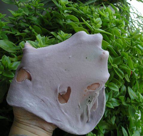 紫薯蝴蝶双色卷步骤5