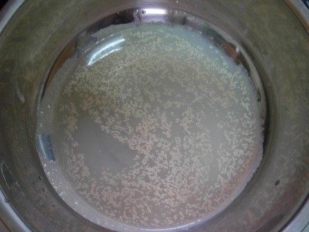 葱香花卷儿步骤1
