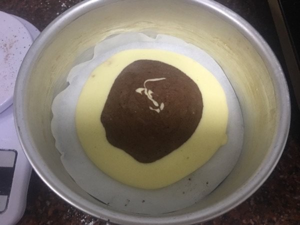 斑马酸奶蛋糕步骤11