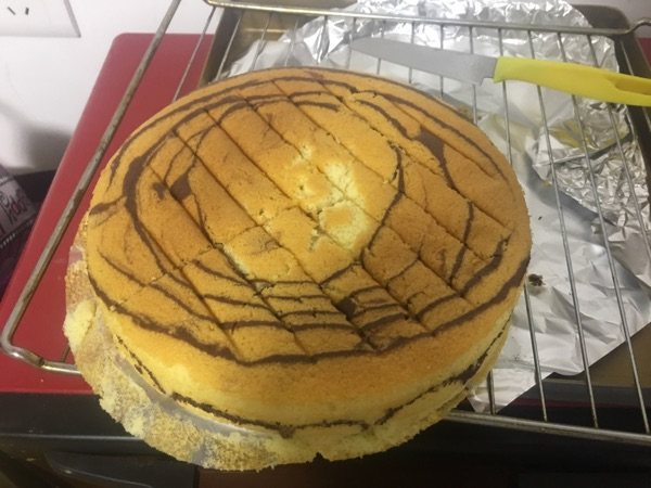 斑马酸奶蛋糕步骤13