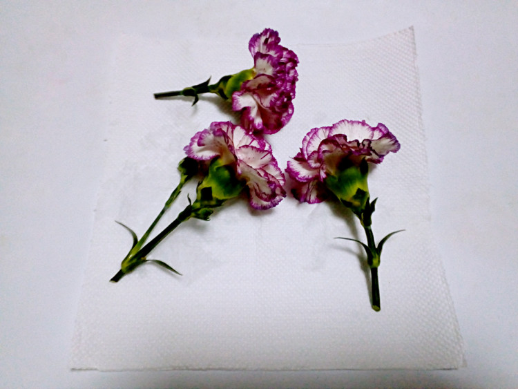 木糖醇鲜花蛋糕步骤2