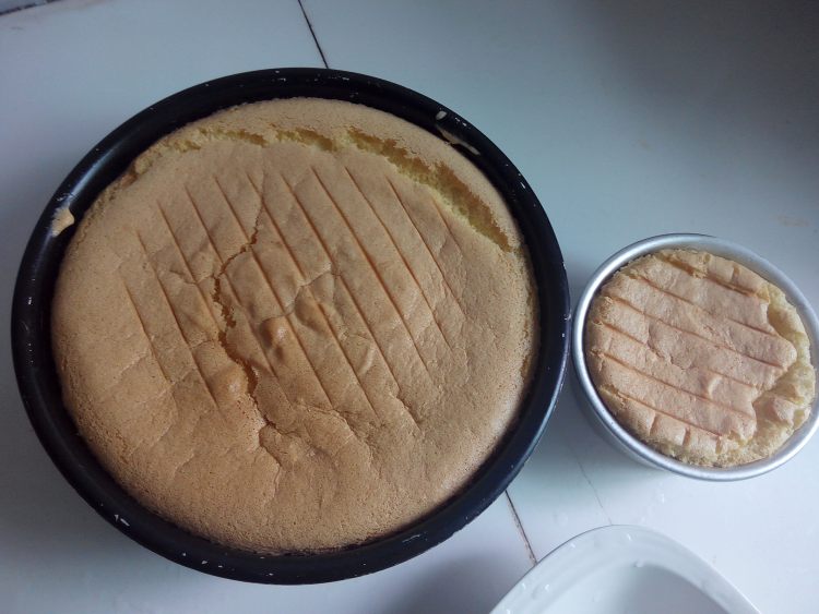玫瑰花裙蛋糕步骤10