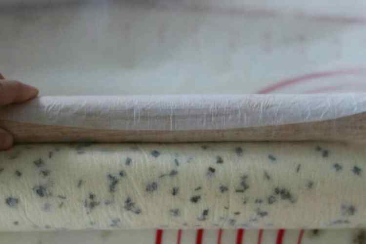 香葱肉松蛋糕卷步骤12