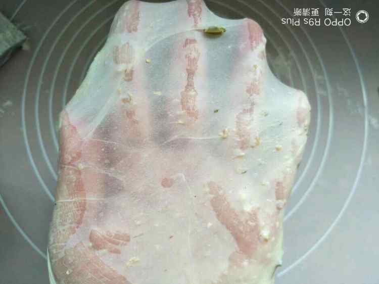 【烘焙甜点】老酵头大步骤5