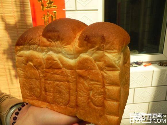 庞多米