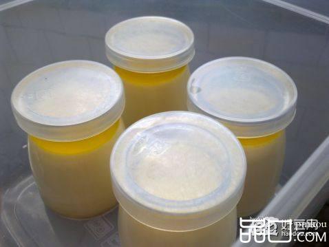 果冻香草布丁
