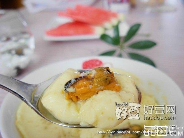海红蒸蛋羹