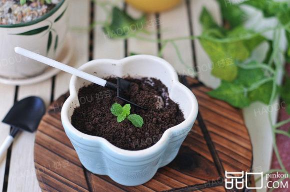 香蕉酸奶瓶栽